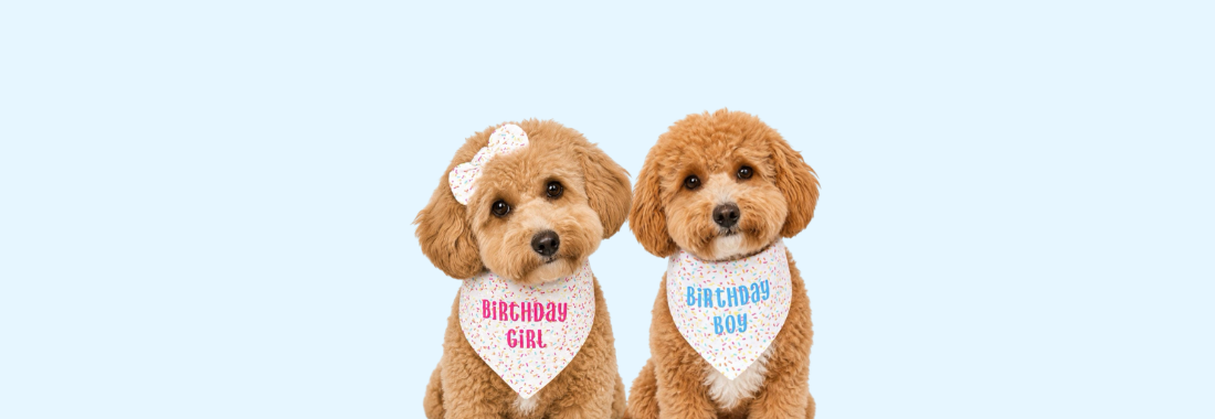 Birthday Bandanas