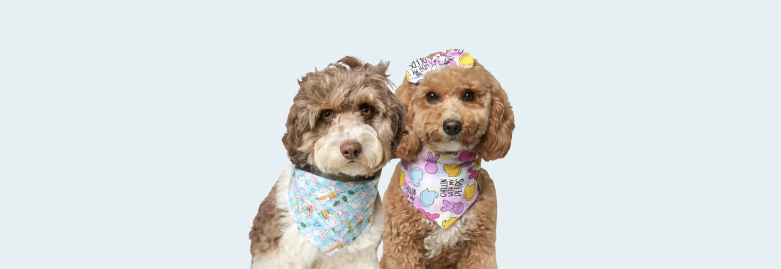 Easter Bandanas