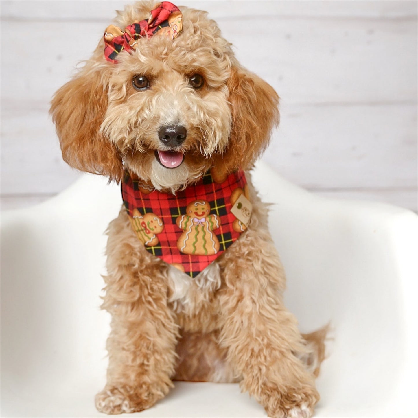 Gingerbread Plaid Dog Bandana