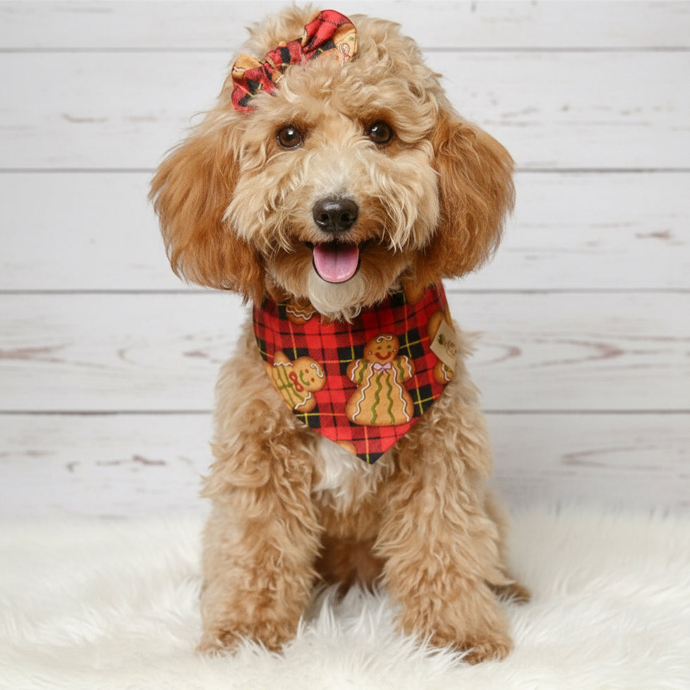 Gingerbread Plaid Dog Bandana