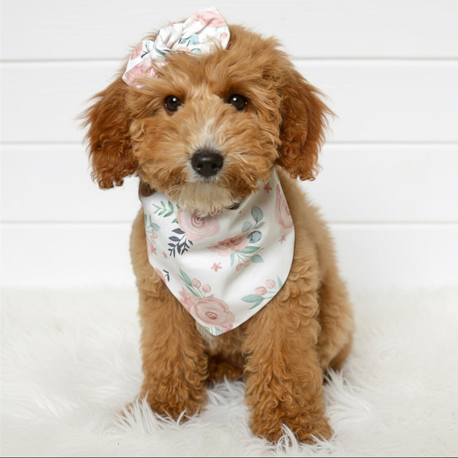 Pastel Rose Dog Bandana