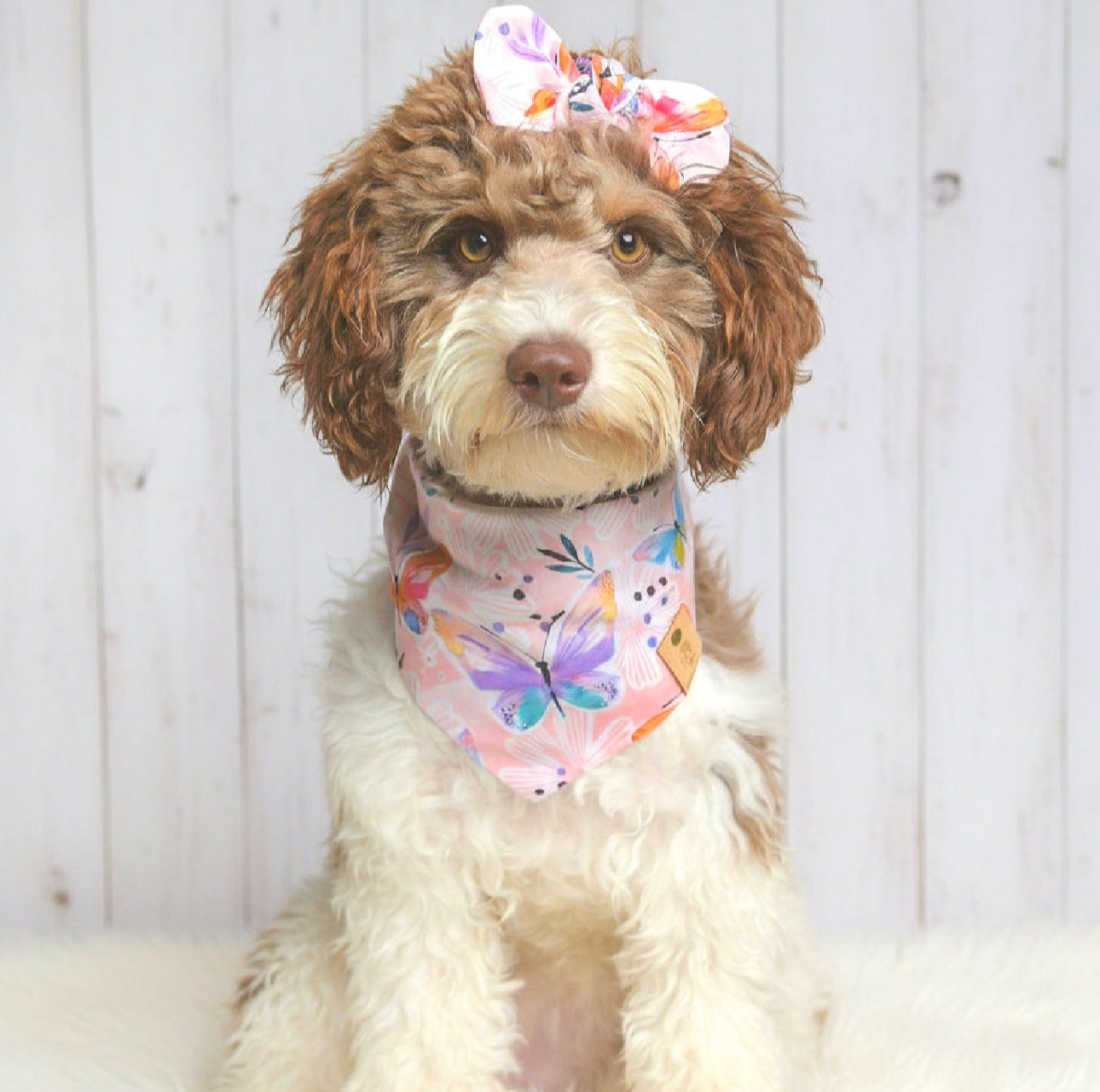 Sweet Butterfly Dog Bandana