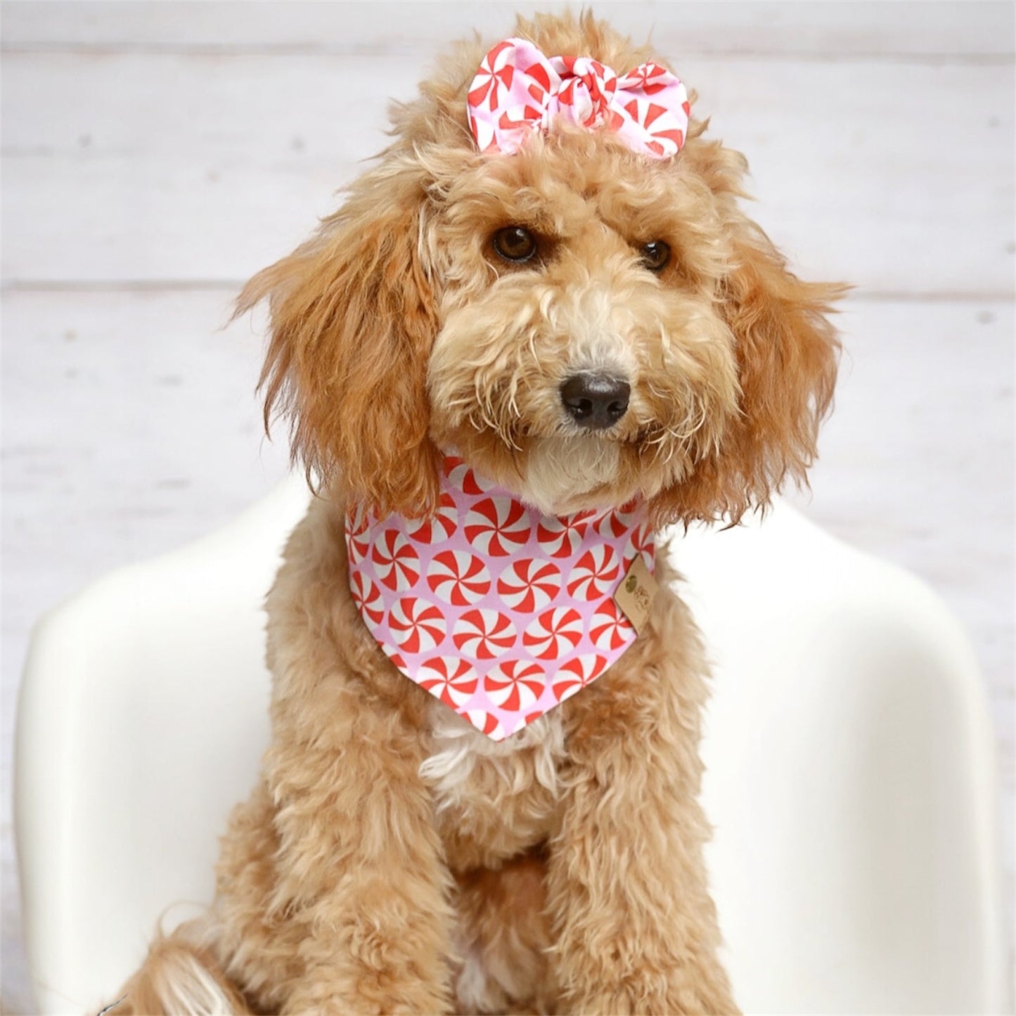 Peppermint Pink Dog Bandana