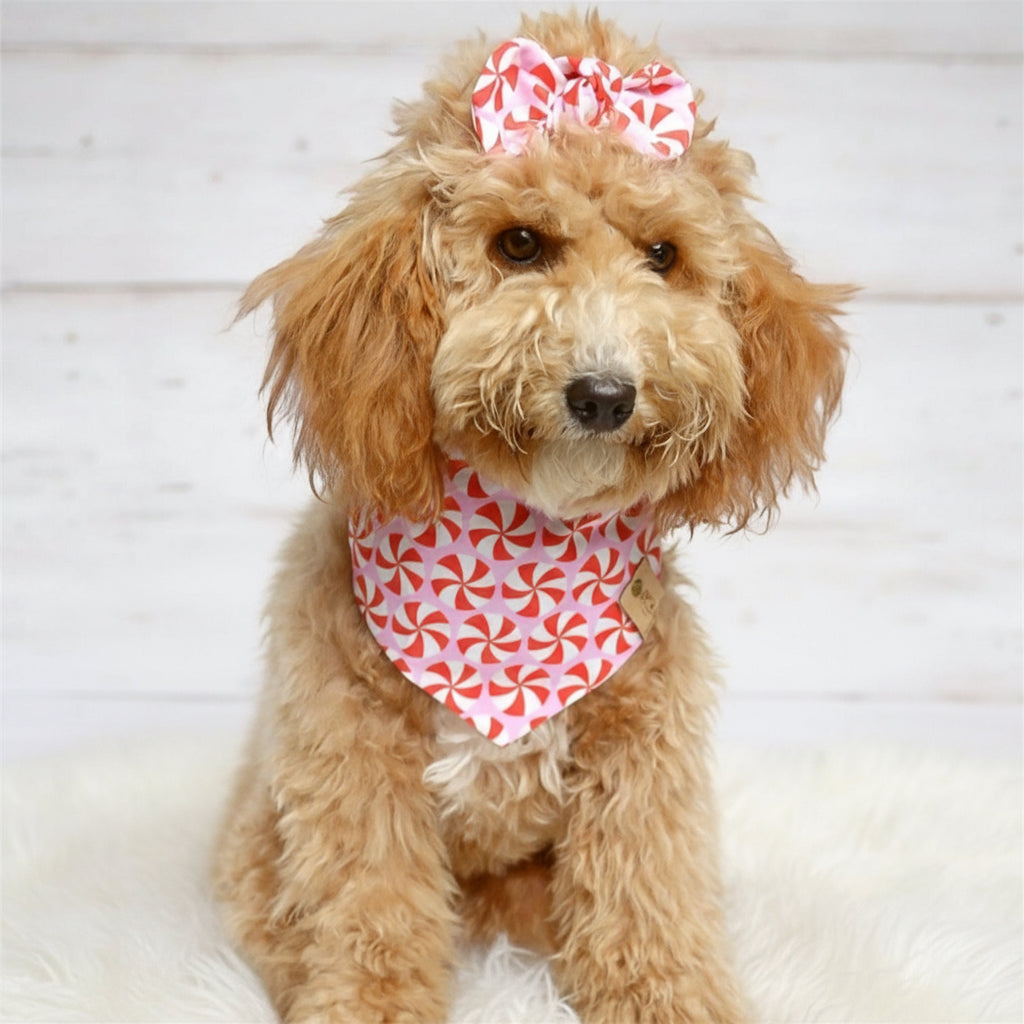 Peppermint Pink Dog Bandana