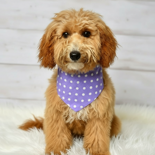Lavender Dot Dog Bandana