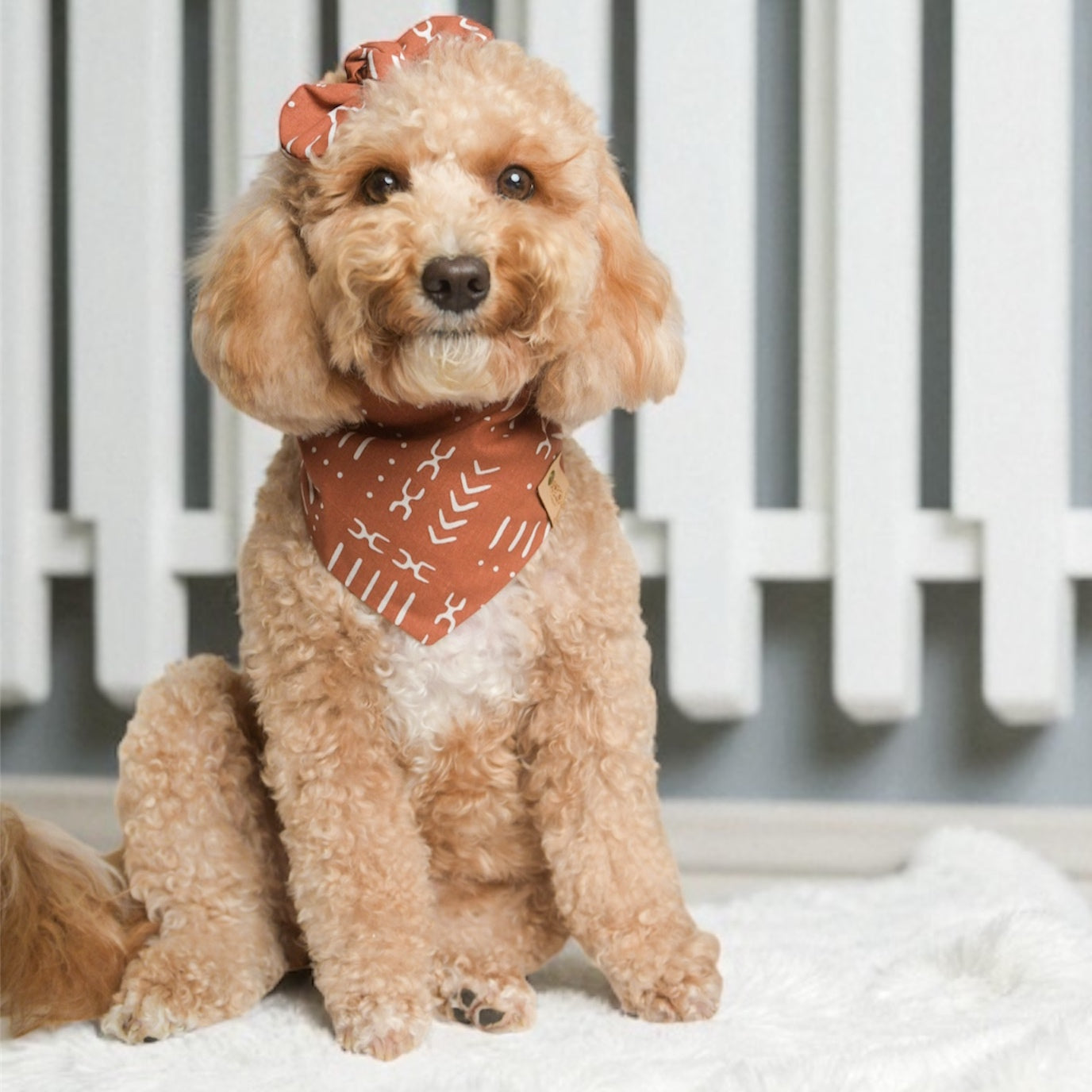 Rust Dog Bandana