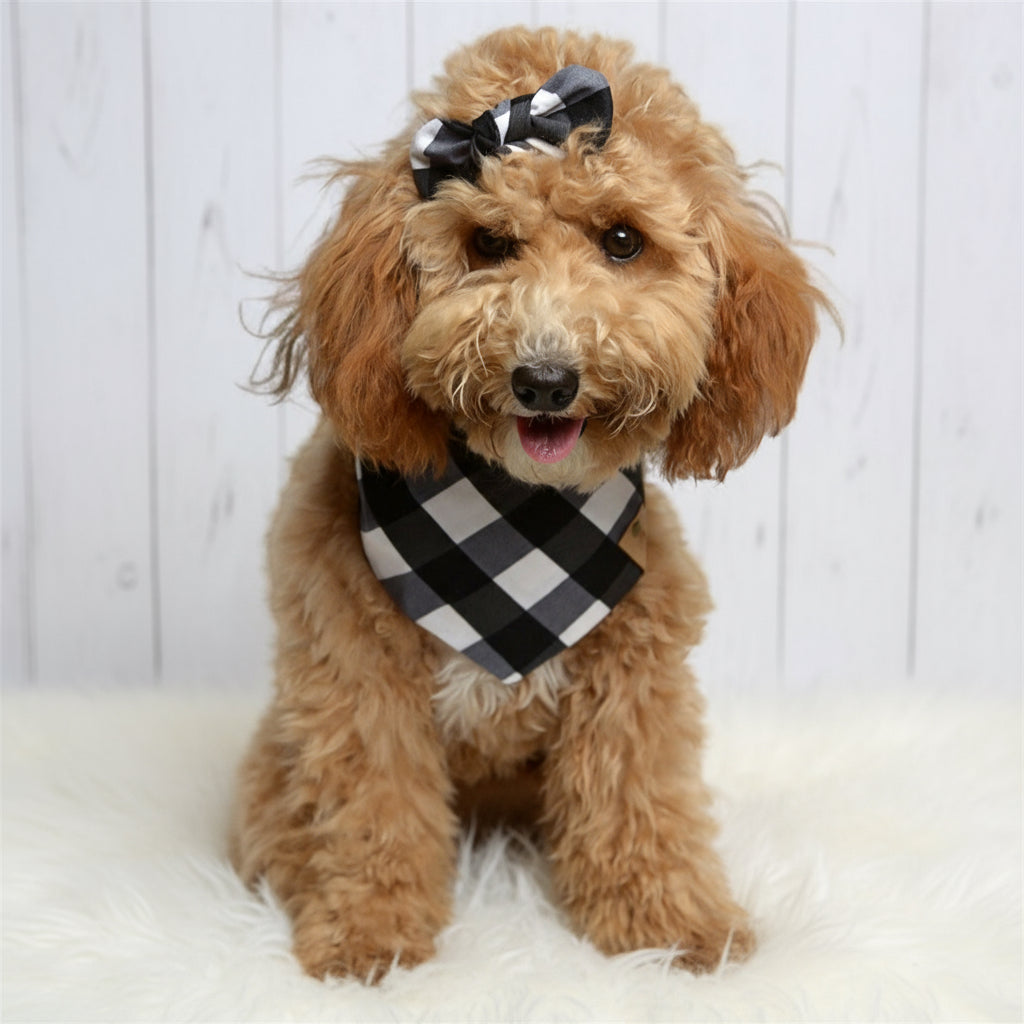 Black Buffalo Dog Bandana