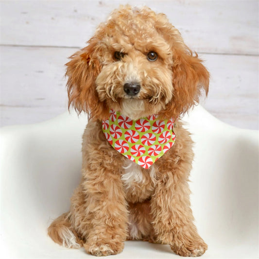 Peppermint Green Dog Bandana