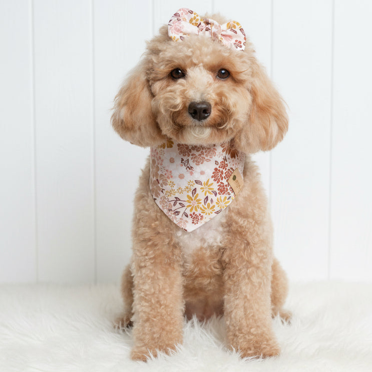 Boho Floral Dog Bandana