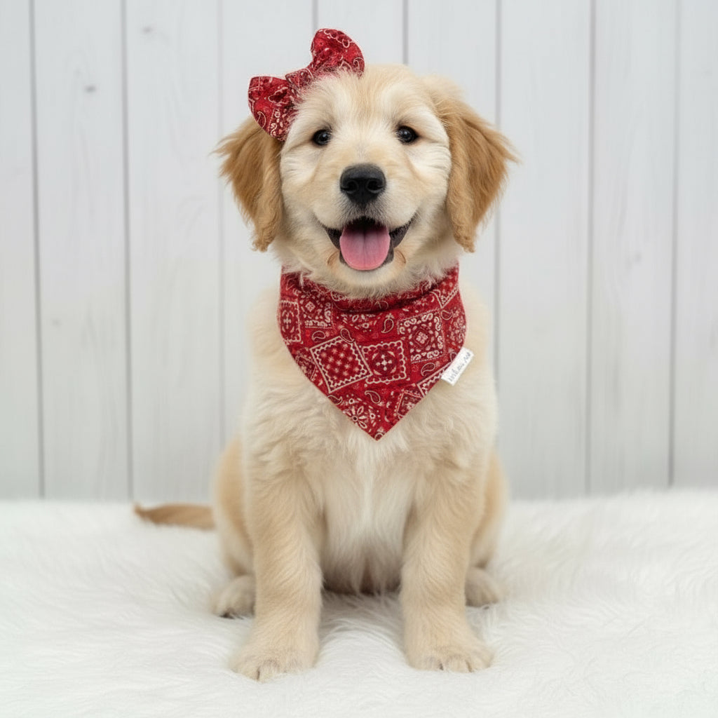 Classic Paisley Dog Bandana – Red