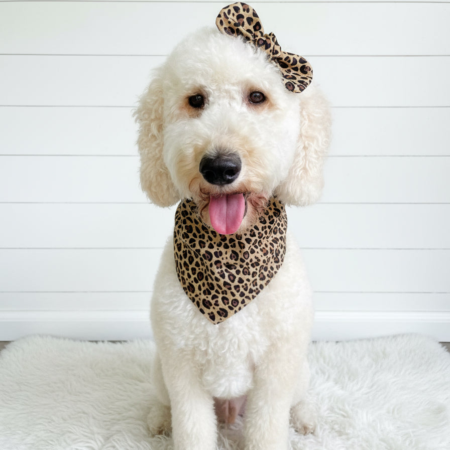 Cheetah Dog Bandana