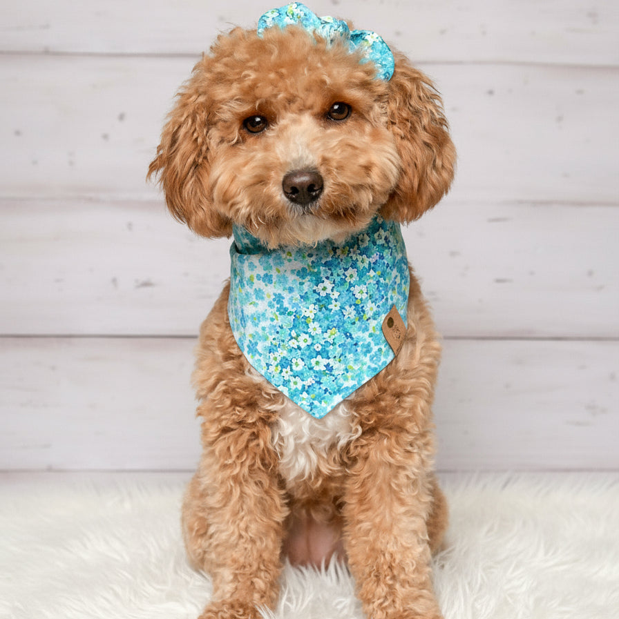 Turquoise Floral Dog Bandana,