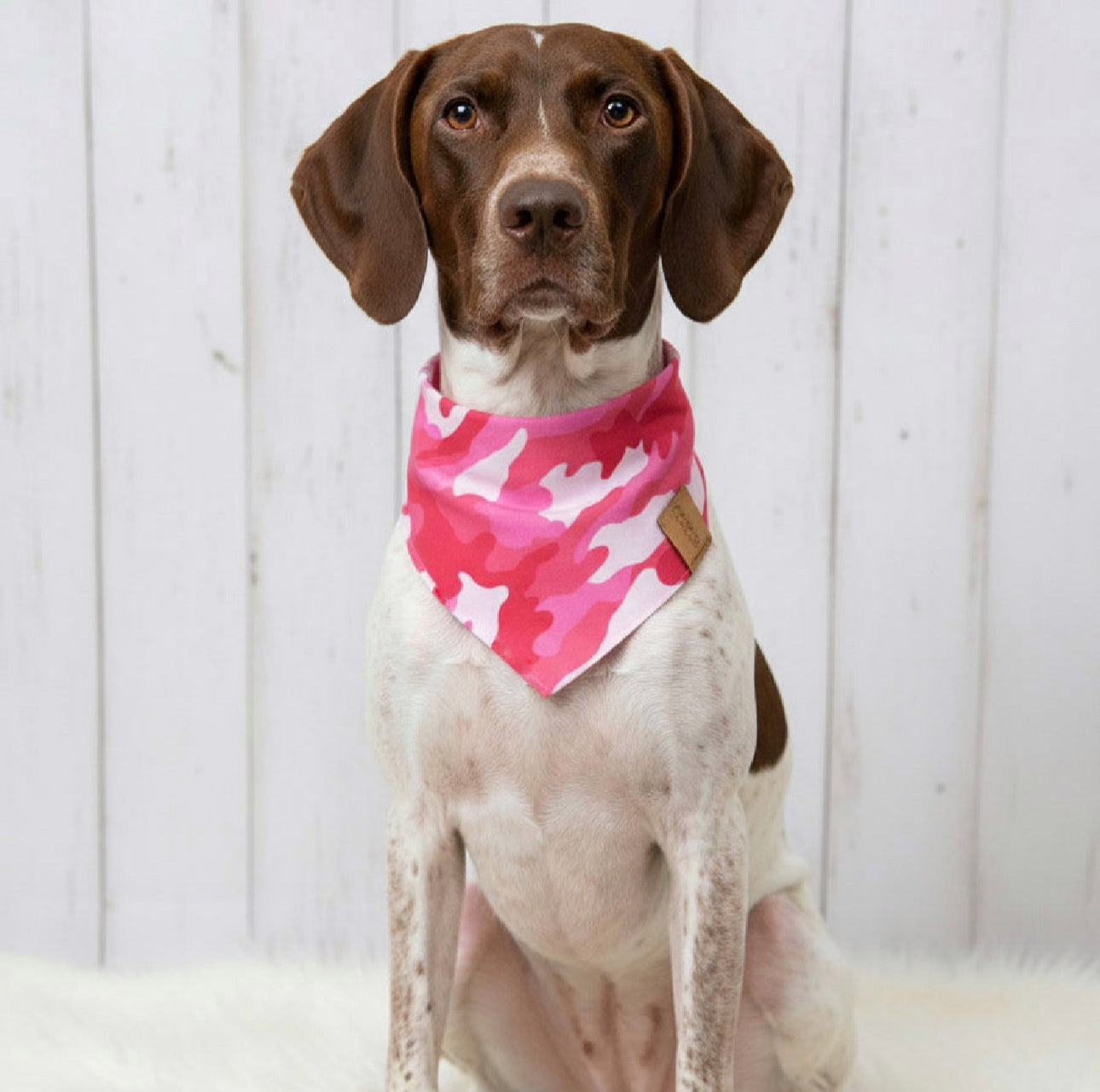 Pink Camo Dog Bandana