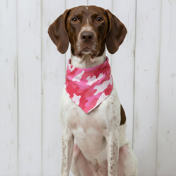 Pink Camo Dog Bandana