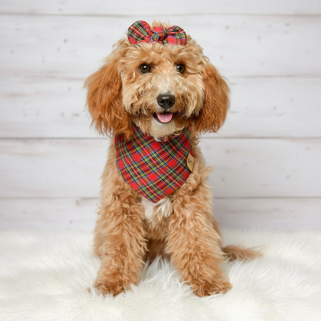 Red Plaid Dog Bandana