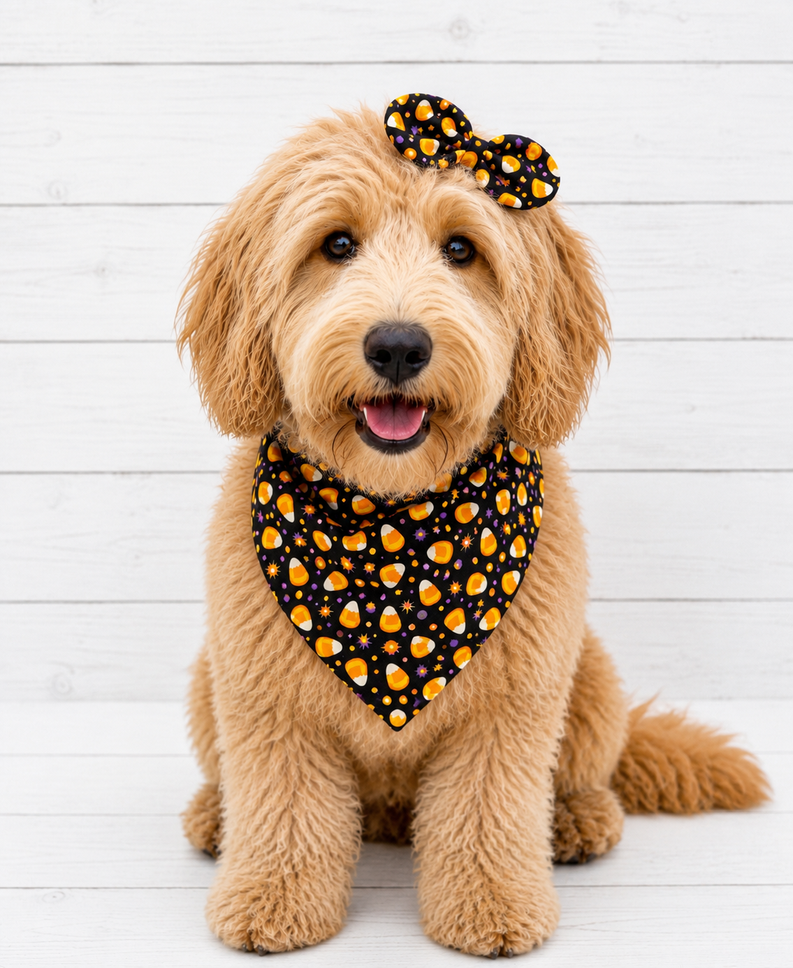 Halloween Candy Corn Dog Bandana