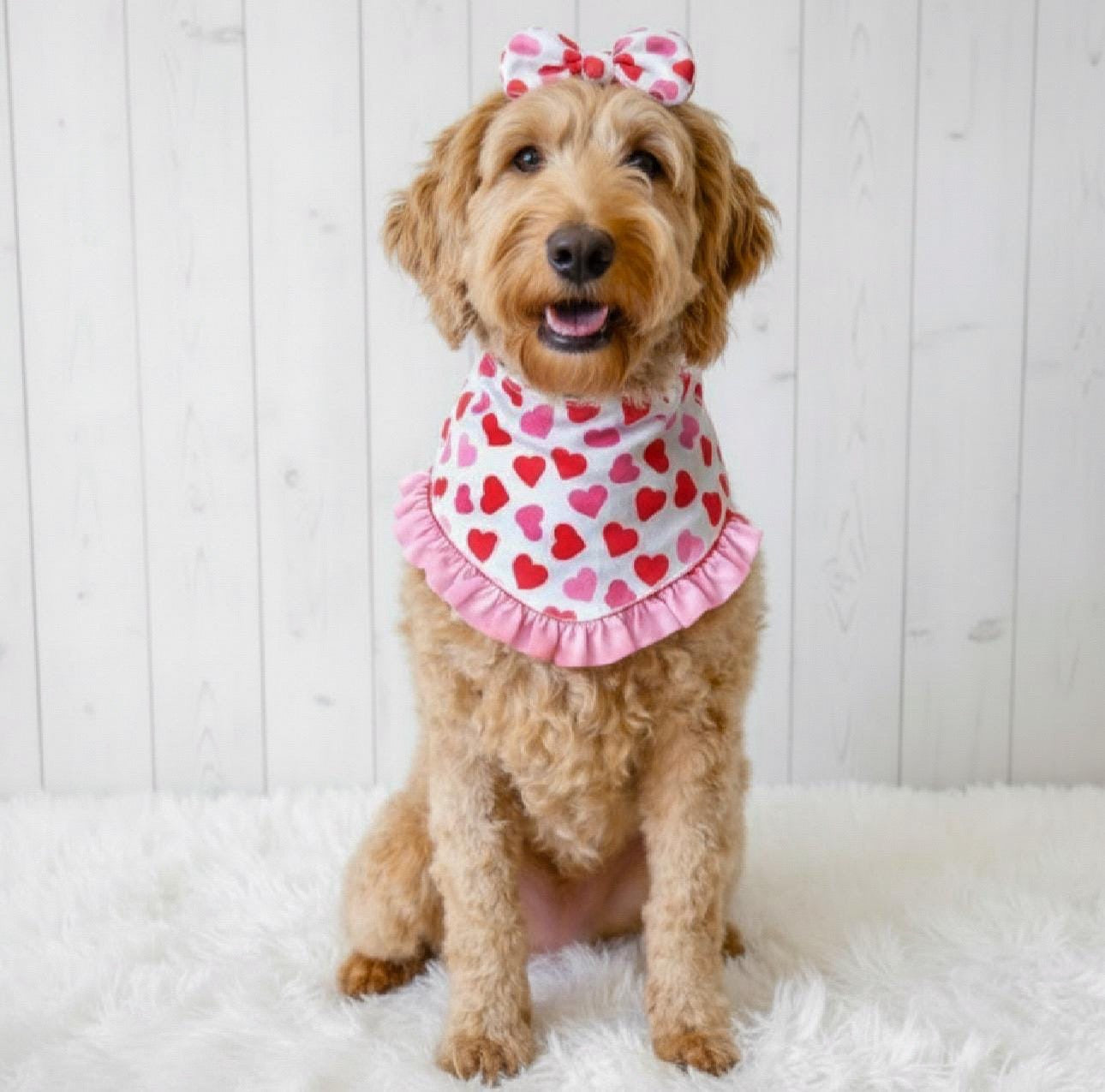 Valentine Hearts Pink Ruffles Dog Bandana