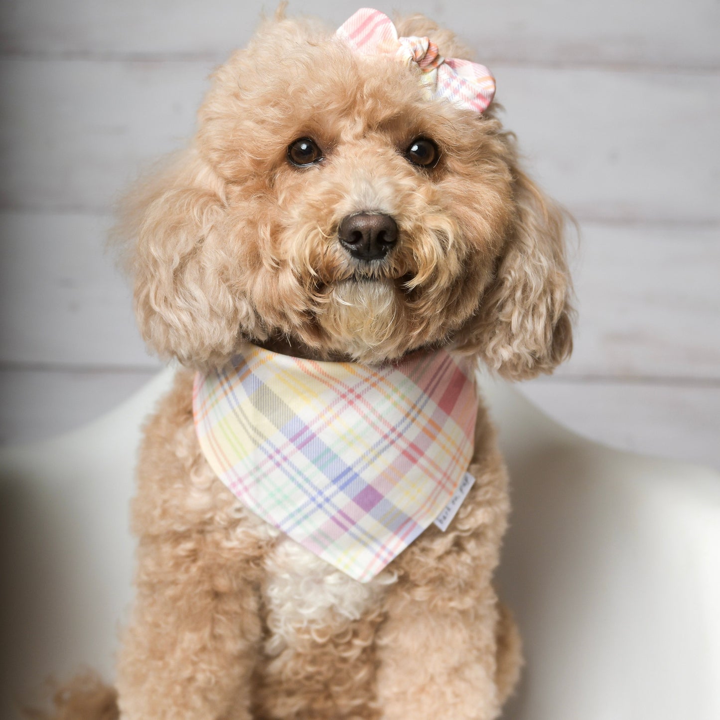 Easter Pastel Plaid Dog Bandana