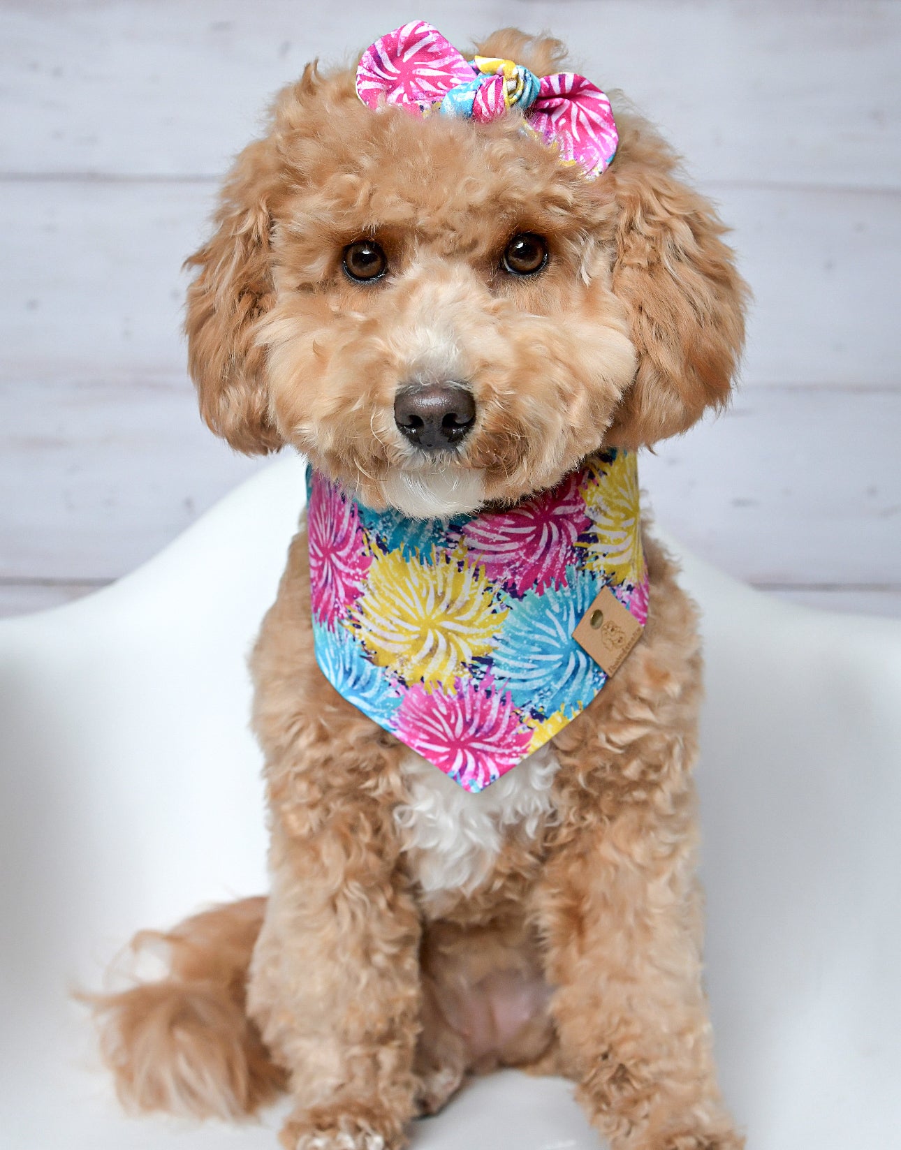 Colorful Pink Dog Bandana