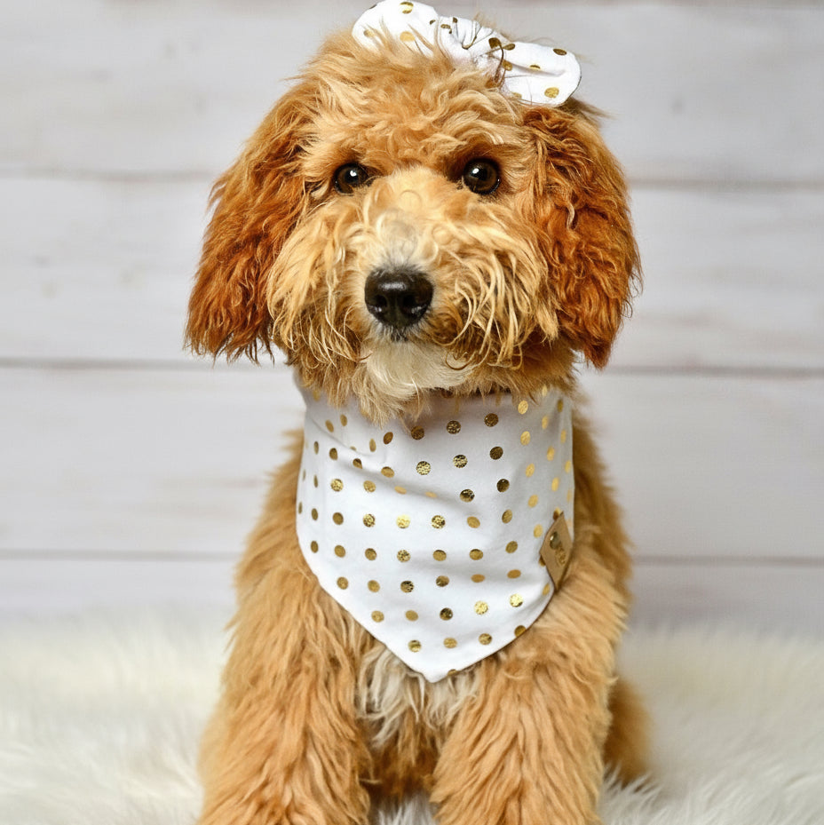 White Gold Dot Dog Bandana
