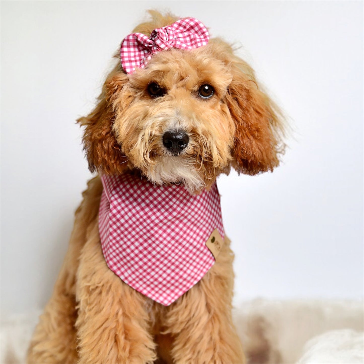 Rose Gingham Dog Bandana