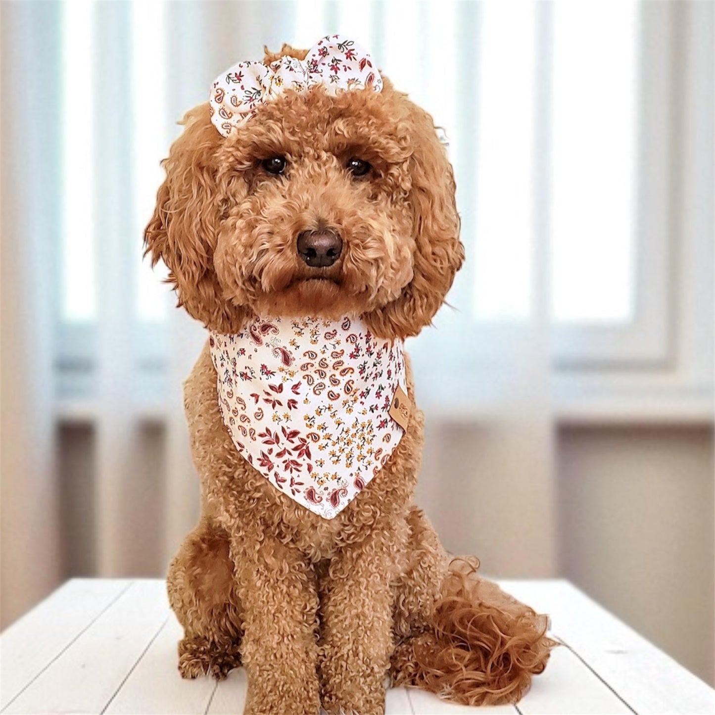 Paisley & Floral Dog Bandana