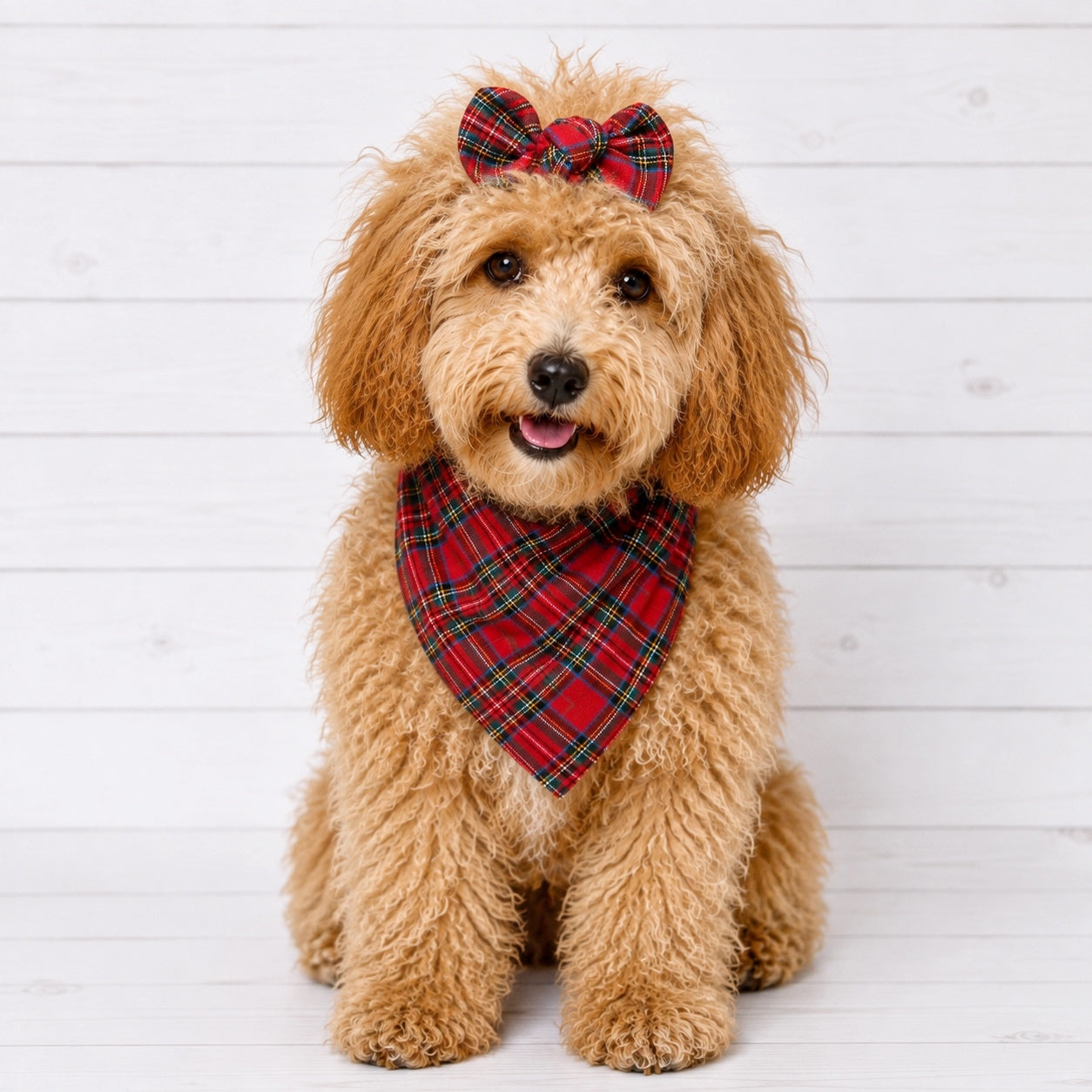 Red Plaid Dog Bandana
