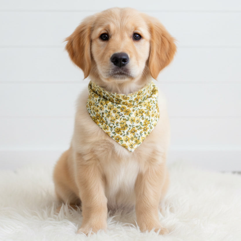 Mustard Fall Floral Dog Bandana
