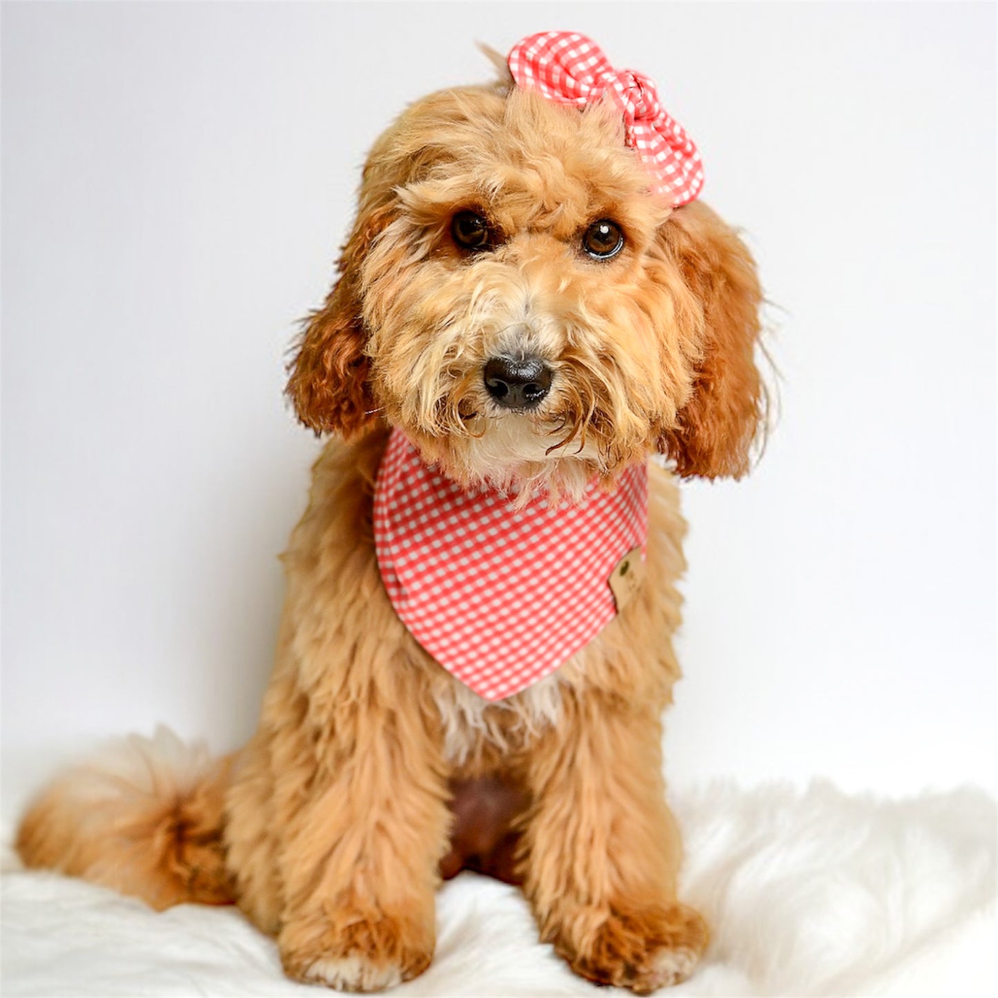 Salmon Gingham Dog Bandana