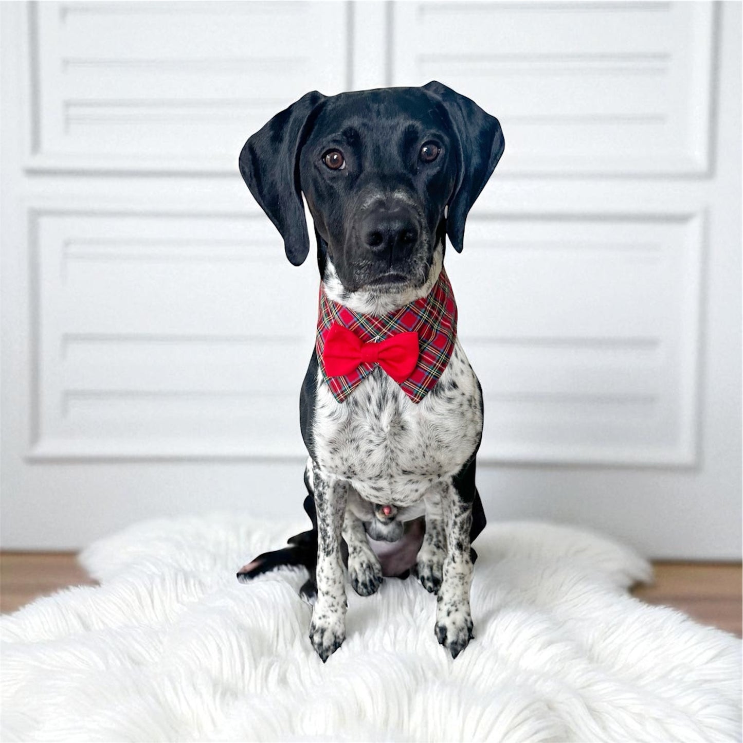 Red Plaid Dog Tuxedo Bow Tie Collar for Boys