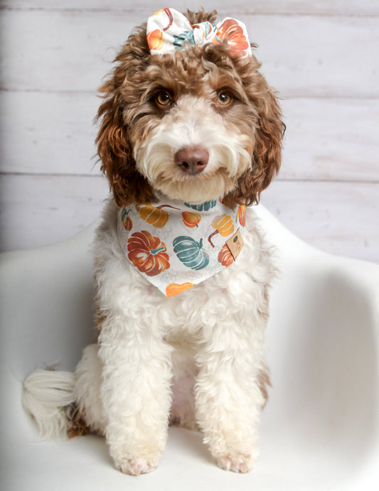 Pumpkin Harvest Dog Bandana