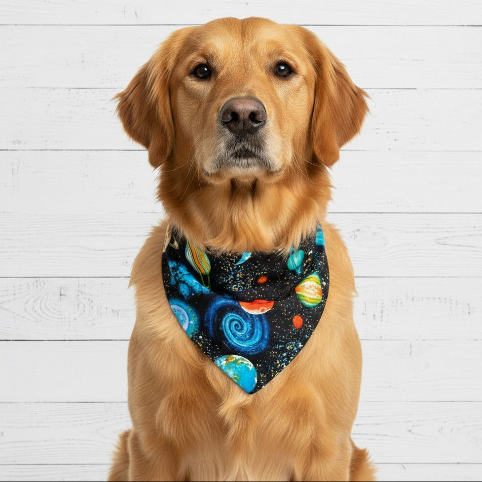 Solar Dog Bandana