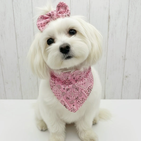 Classic Paisley Dog Bandana – Pink