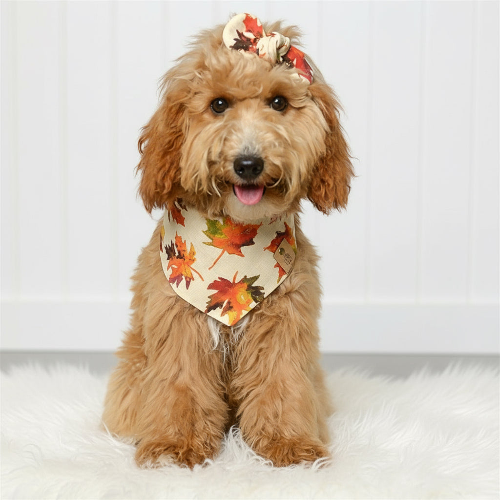 Autumn Dog Bandana