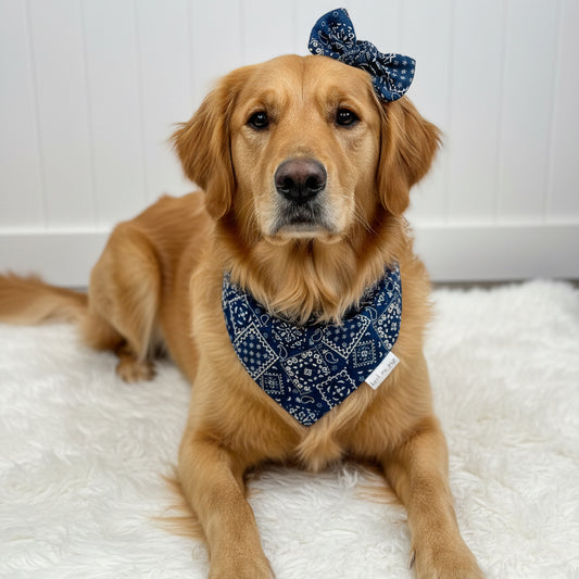 Classic Paisley Dog Bandana – Navy Blue