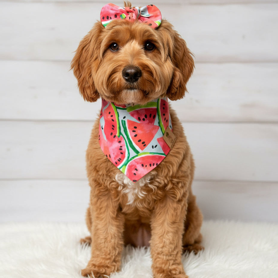 Watermelon Dog Bandana