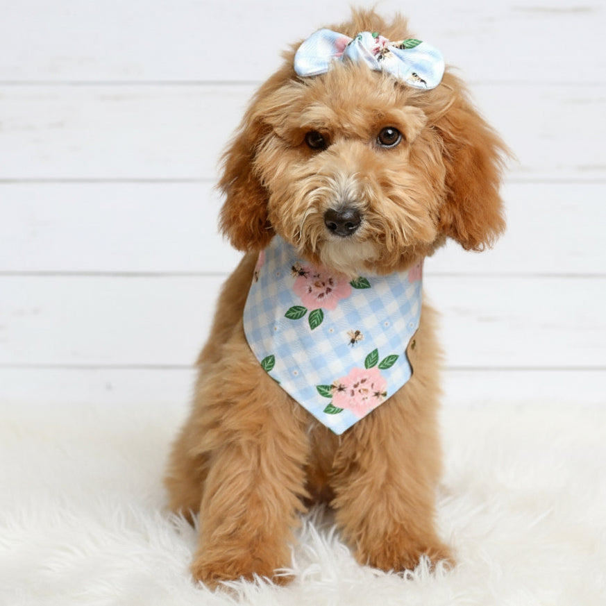 Blue Floral Gingham Dog Bandana