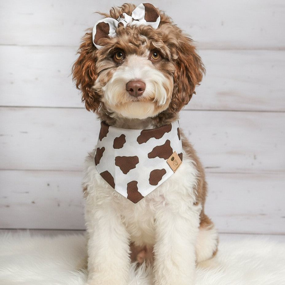 Brown Cow Dog Bandana