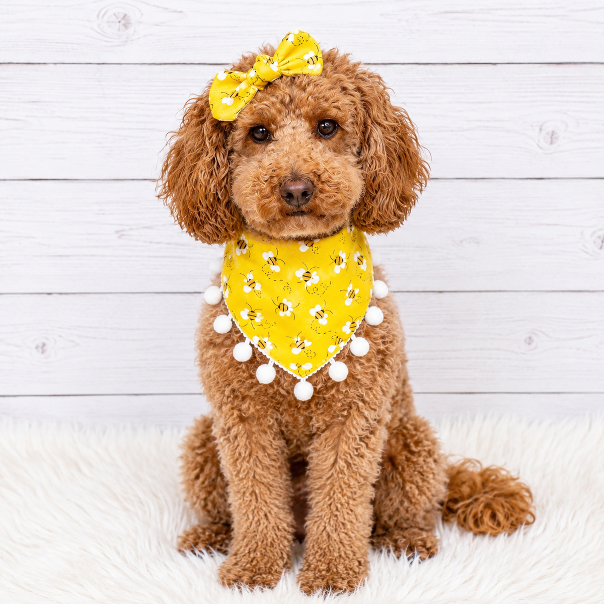 Bees with Pom Pom Dog Bandana