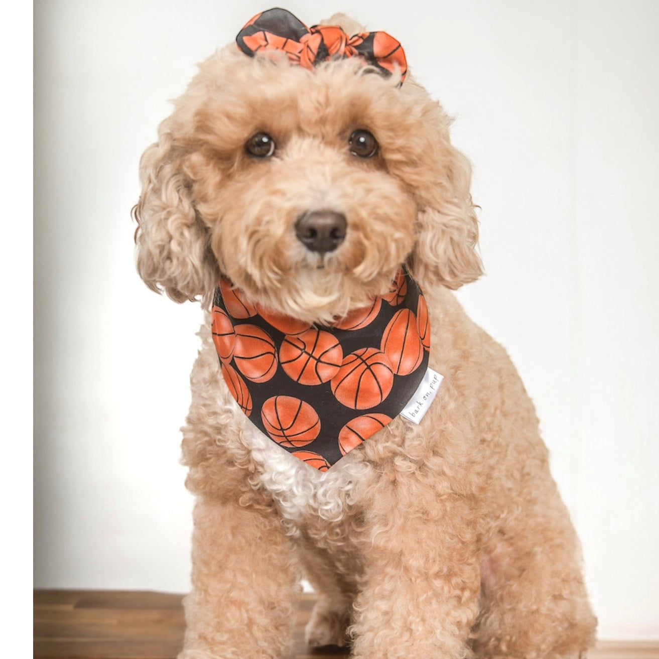 Basketball Dog Bandana