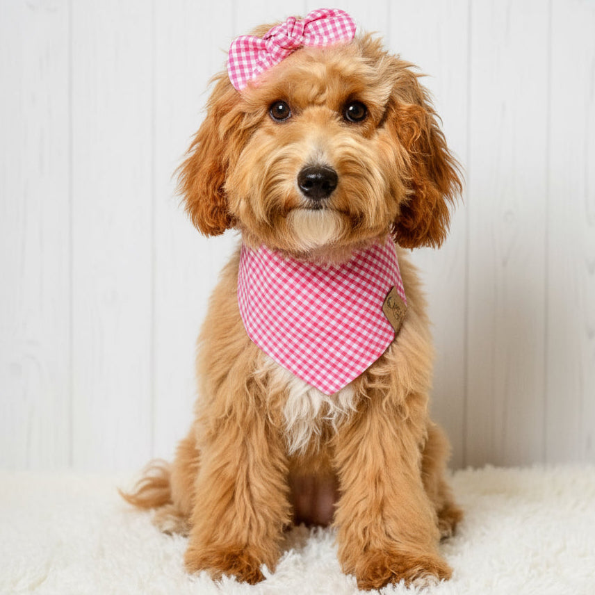 Bubblegum Gingham Dog Bandana