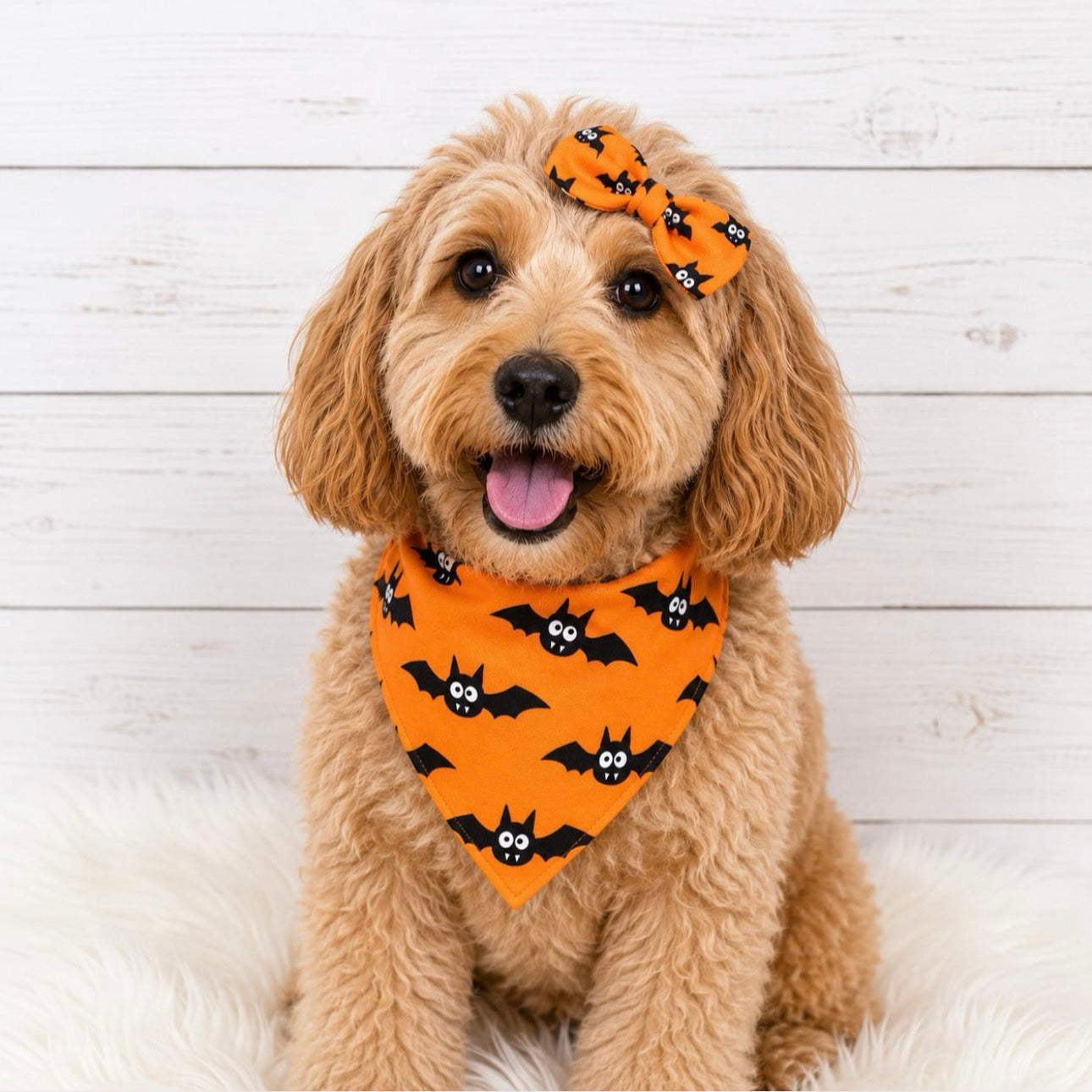 Bats Orange Halloween Dog Bandana