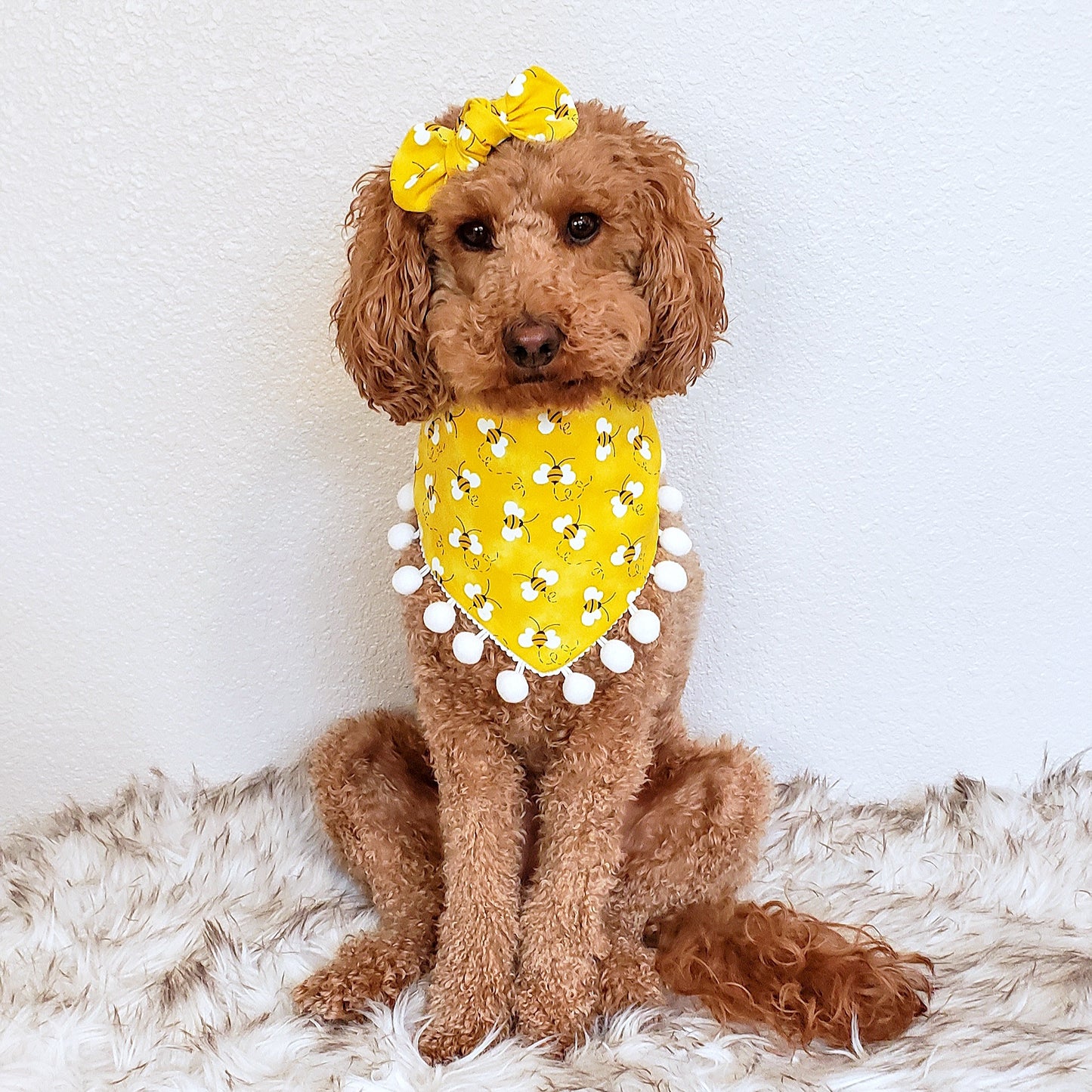 Small dog wearing bee print dog bandana with yellow pom poms – handmade and stylish pet accessory