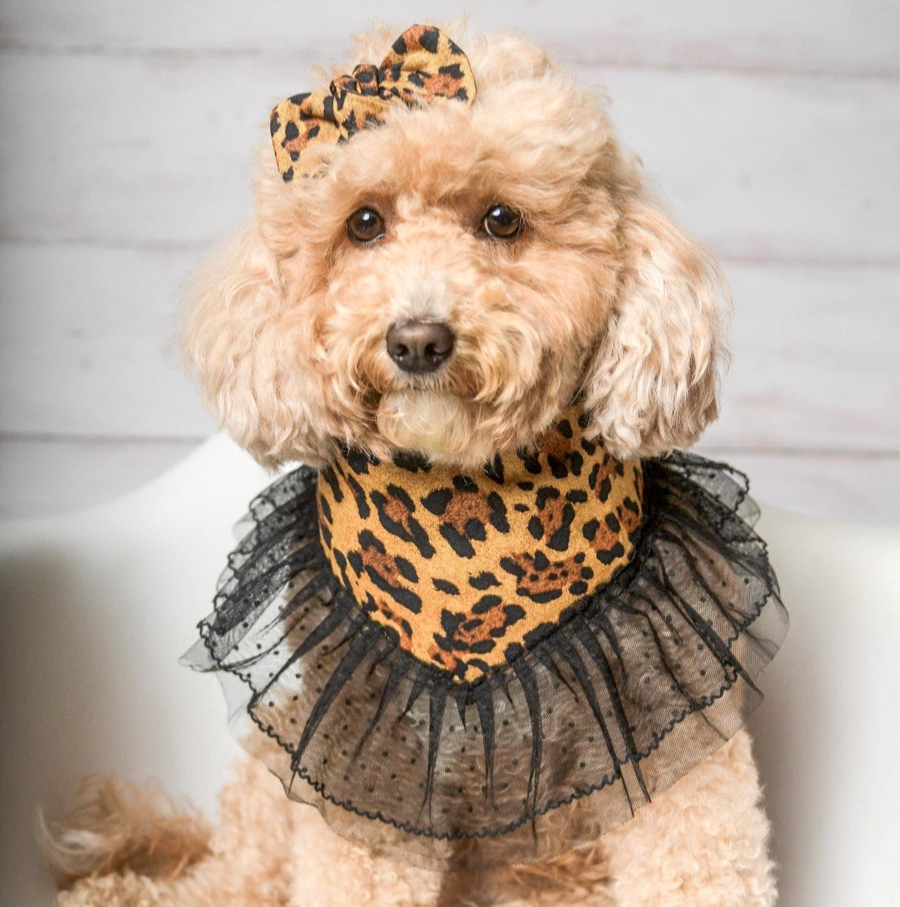 Leopard with Ruffles Dog Bandana