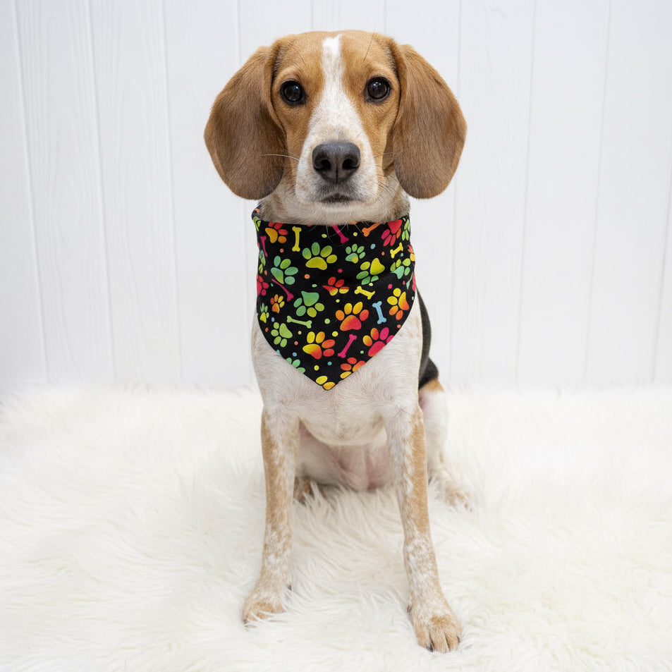 Colorful Paws Dog Bandana