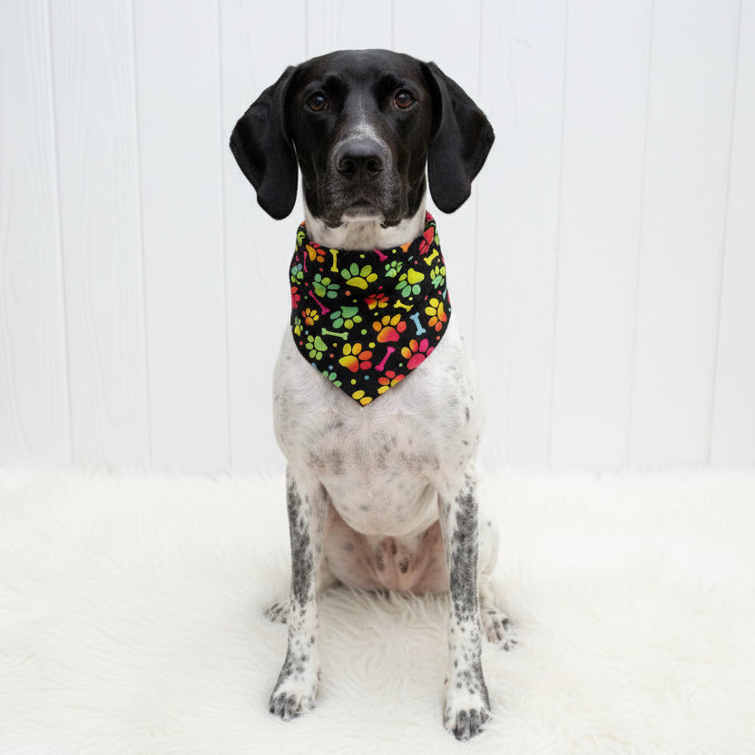 Colorful Paws Dog Bandana