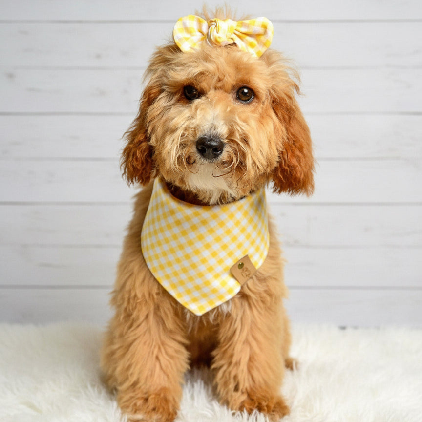 Yellow Gingham Dog Bandana