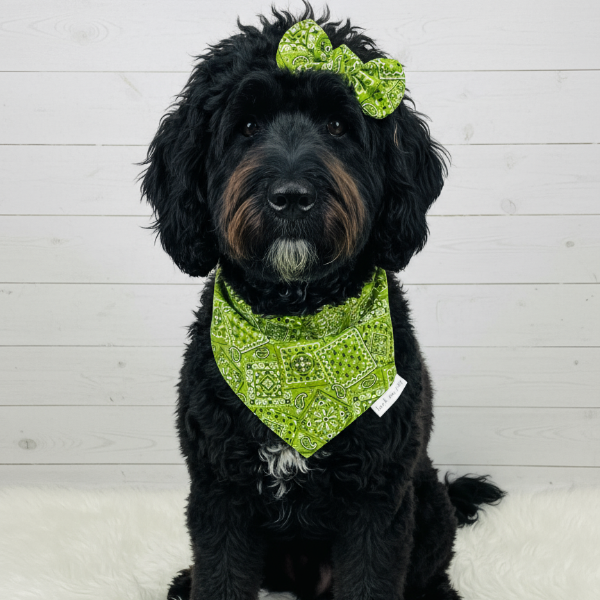 Classic Paisley Dog Bandana – Lime