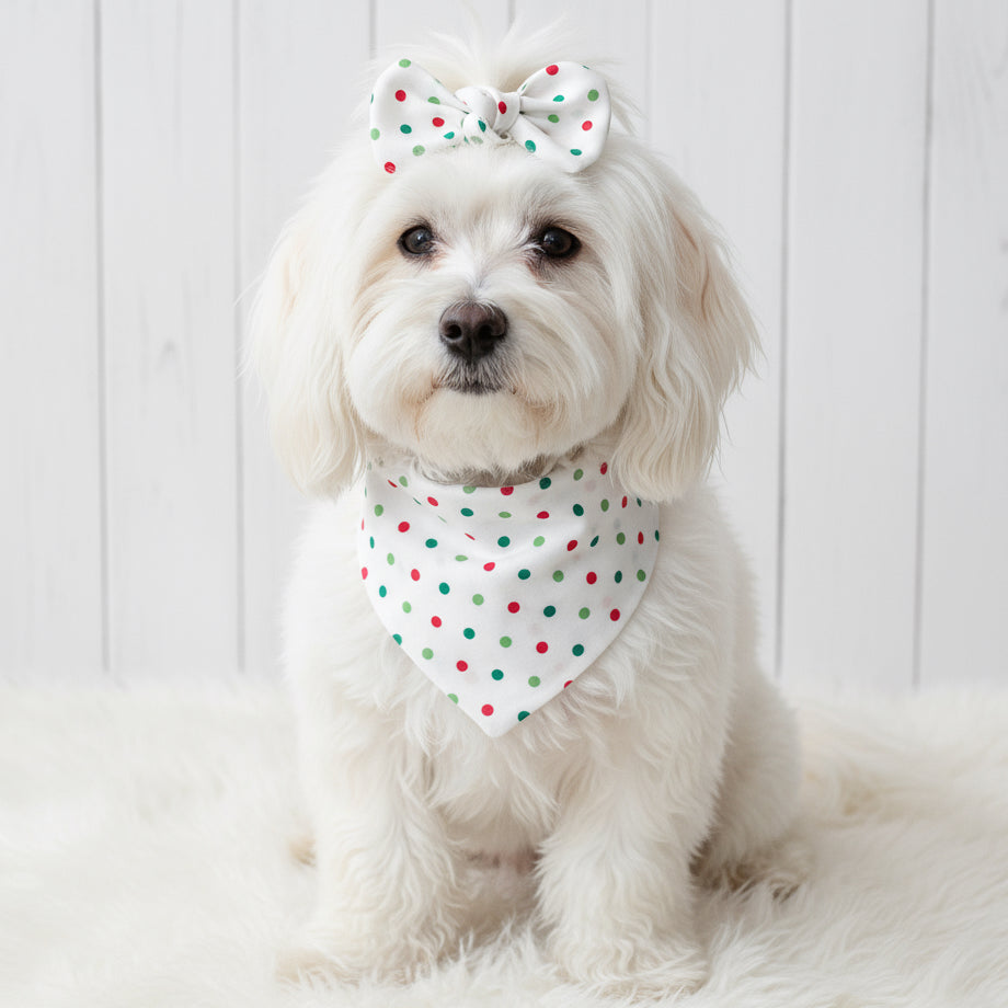 Christmas Polka Dot Dog Bandana