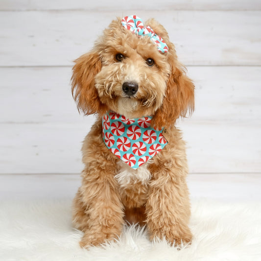 Peppermint Teal Dog Bandana
